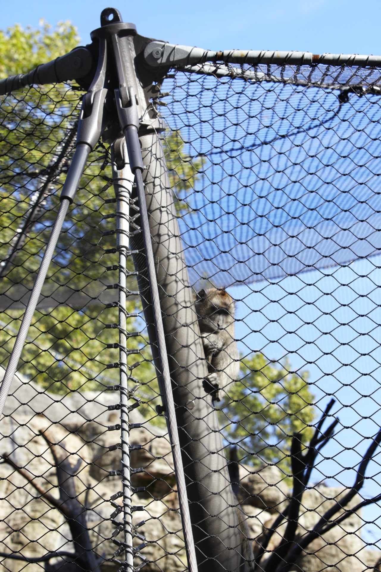 ropes, mesh and poles of an animal enclosure